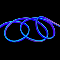 Neon LED Strip Light Blue 10m