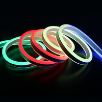 LED Neon Flex Colour Transformation 10m
