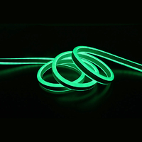Neon Flex GREEN 10m