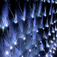 Net Light Cool White