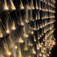 Net Light Warm White