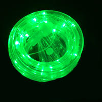 LED Rope Light GREEN Extendable 2m