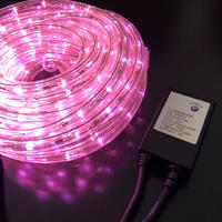 Rope Light PINK 10m with Controller