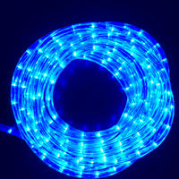 Rope Light BLUE Extendable 10m