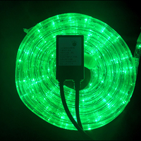 Rope Light GREEN 10m + Controller