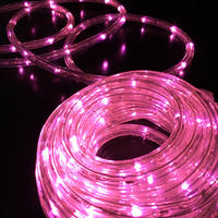 Rope Light PINK Extendable 10m 