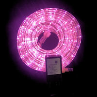 Rope Light PINK 10m + Controller