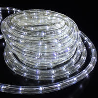 Rope Light COOL WHITE Extendable 10m 