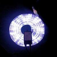 Rope Light COOL WHITE 10m + Controller