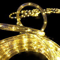 Rope Light WARM WHITE Extendable 10m 