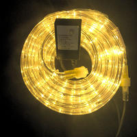 Rope Light WARM WHITE 10m + Controller