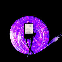 Rope Light PURPLE Extendable 10m with Controller