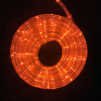 Rope Light ORANGE 10m