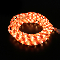 Candy Cane Rope Light 10m