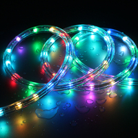 RGB WI-FI Rope Light 10m