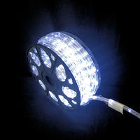 Rope Light COOL WHITE 50m Commercial