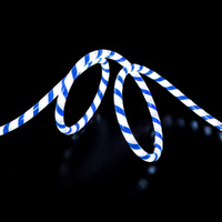 Rope Light Blue & White 10m + Controller