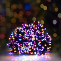 Solar LED Fairy Lights 500 Carnival