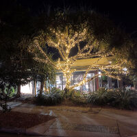 Low Voltage String Light WW 5m