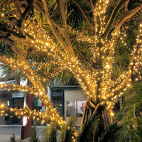 Low Voltage String Light WW 10m