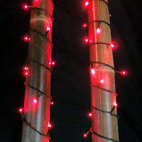 LED Fairy Lights RED 10m Extendable