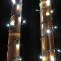 LED Fairy Lights COOL WHITE 10m Extendable