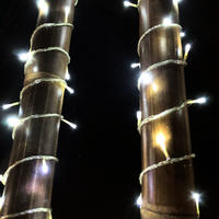 LED Fairy Lights COOL WHITE 10m Clear Wire Extendable