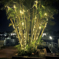 String Lights WARM WHITE 10m Green Wire