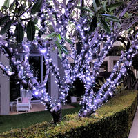 String Lights COOL WHITE 10m Green Wire