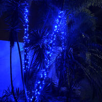 String Lights BLUE 10m