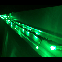 String Lights GREEN 10m
