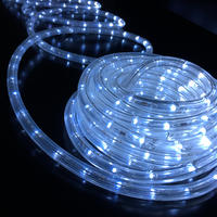 Rope Light 12V COOL WHITE 10m