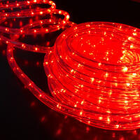 Rope Light 12V RED 10m