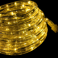 Rope Light 12V WARM WHITE 10m