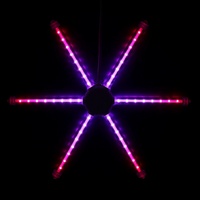 Firework Light RGB 2D Large 67cm