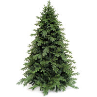 Spitsbergen Christmas Tree