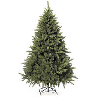 Washington Christmas Tree