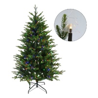 Magic Wand Tree Multicolour 170cm