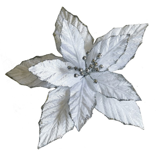 White w. Silver Edge Poinsettia 25cm