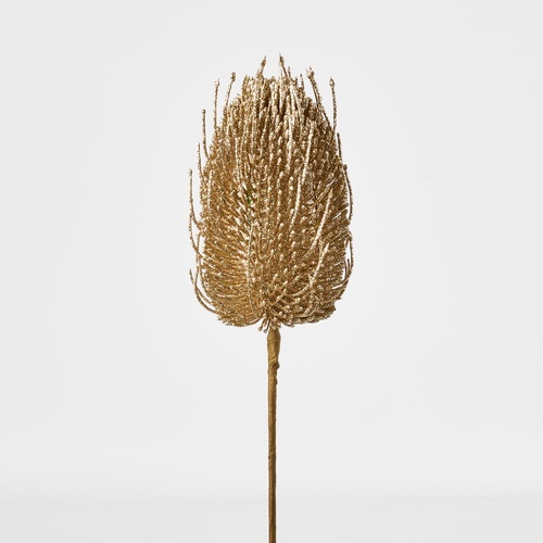 Banksia Glitter Stem Gold 63cm