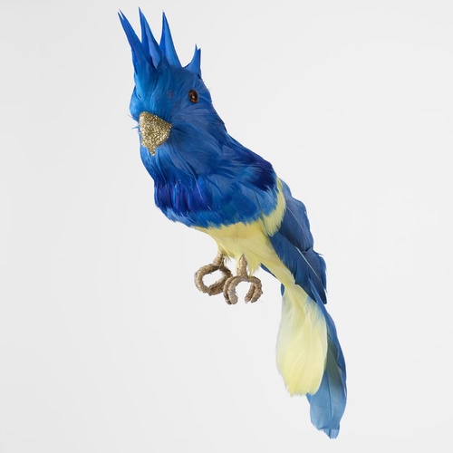 Jacques Crested Blue Bird 30cm