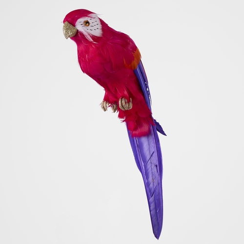 Arnou Fuchsia Parrot 35cm