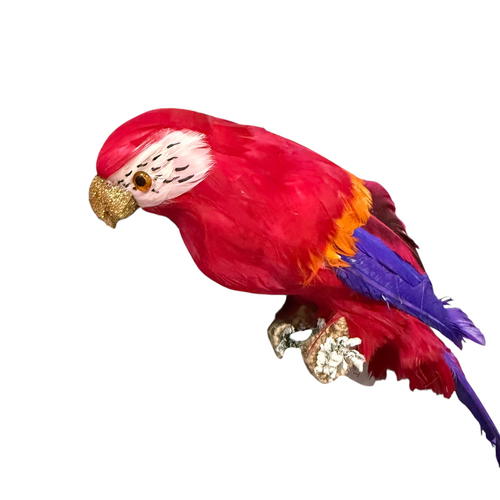 Arnou Fuchsia Parrot 35cm