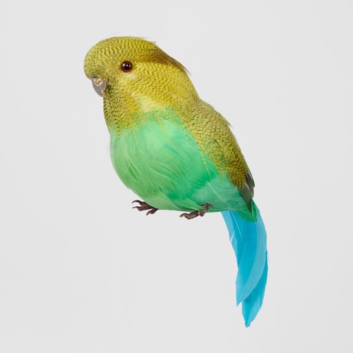 Glitter Beak Budgie Green 10cm