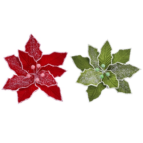 Iced Poinsettia Clip 2 Assorted 28cm