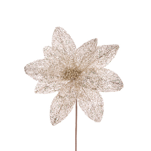 Sheer Champagne Glittered Poinsettia 40cm