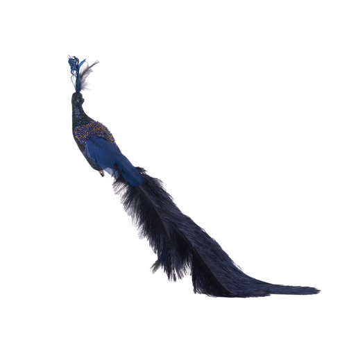 Navy Peacock 42cm