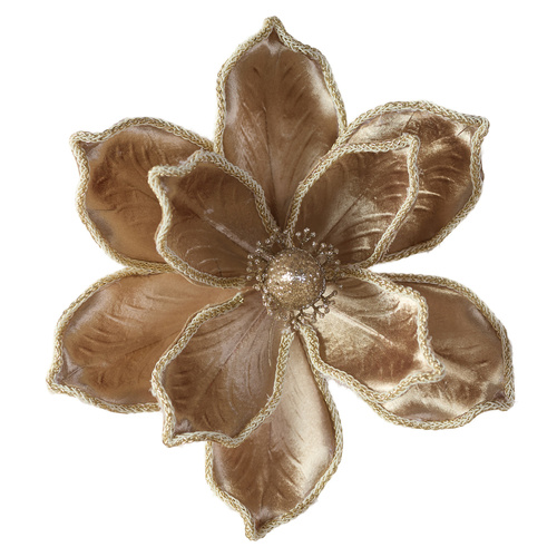 Magnolia Champagne Rope Edge Clip 25cm