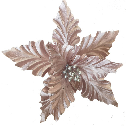 Shiny Musk Poinsettia Clip 32cm