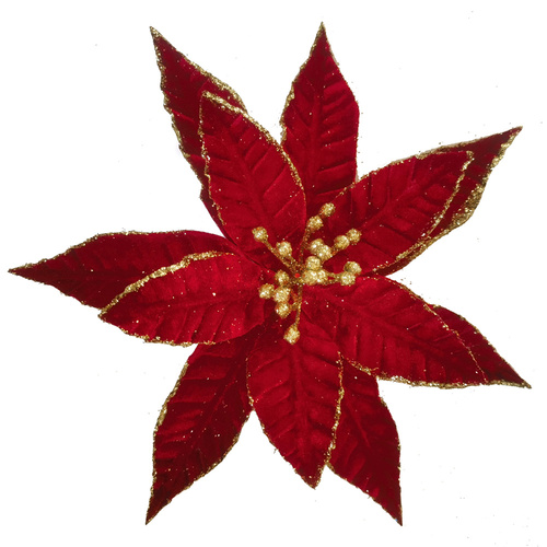 Red Poinsettia w. Gold Glitter Edge Clip 25cm
